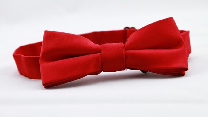 red-bow-tie-936466_640.jpg